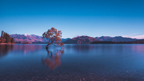 Scenic view of lake against clear blue sky