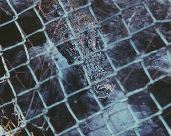 Full frame shot of chainlink fence