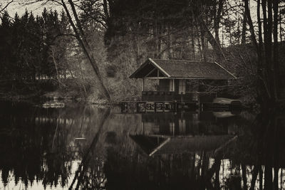 Reflection of trees and plants in lake