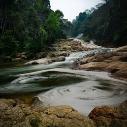 Scenic view of river flowing through rocks in forest