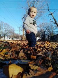 Cute boy standing on field during autumn