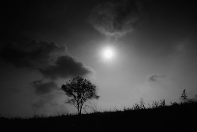 Low angle view of silhouette trees against sky
