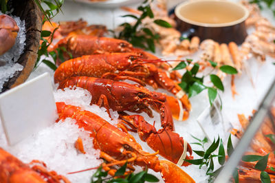 A line of red lobster for sale.