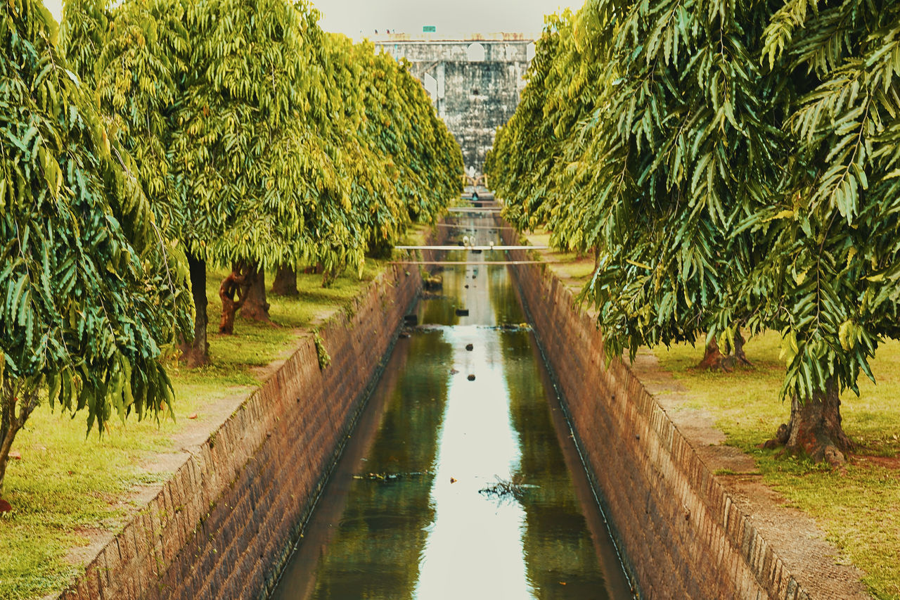 plant, tree, growth, day, nature, water, no people, architecture, green color, direction, footpath, tranquility, built structure, the way forward, reflection, building exterior, outdoors, diminishing perspective, park, canal, treelined