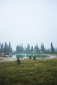 Scenic view of lake against clear sky