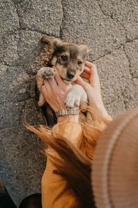 Pet love. volunteer woman plays with homeless puppies in the autumn park. authentic moments of joy