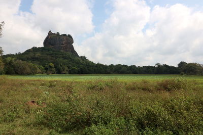 Scenic view of field against sky