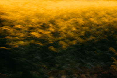 Defocused image of agricultural field