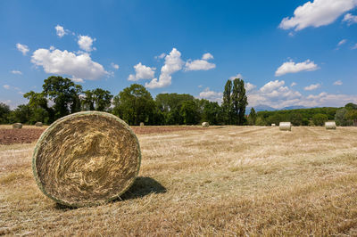 Hay bales on field against sky