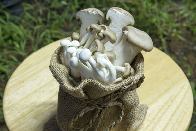 Mushrooms in sack on table in yard