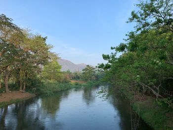 Scenic view of river by trees against sky