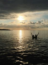 Silhouette swan swimming in sea against sky during sunset