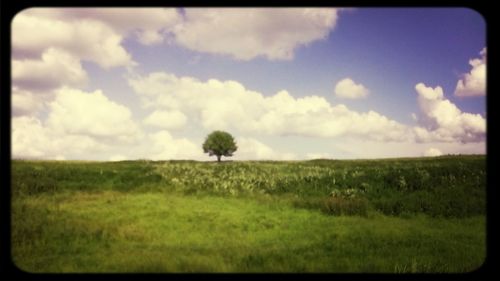 Scenic view of grassy field against cloudy sky