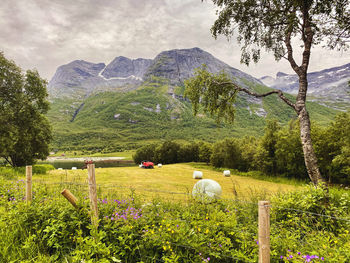 Scenic view of field against sky