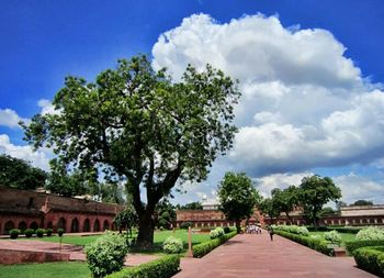 Built structure with trees in background