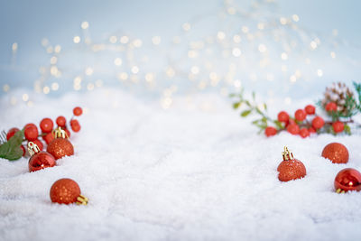 Close-up of strawberries on snow