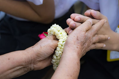 Close-up of woman hand holding red rose flower