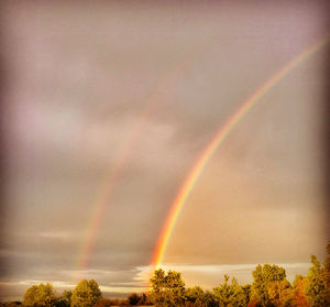 Low angle view of rainbow over trees against sky