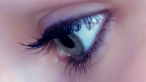 Close-up of woman eye