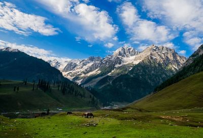 Beautiful mountain landscape of sonamarg, jammu and kashmir state, india