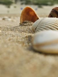 Low section of man on sand