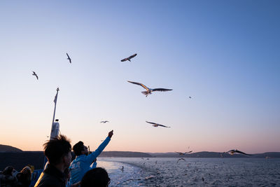 Low angle view of seagulls flying over sea against sky during sunset