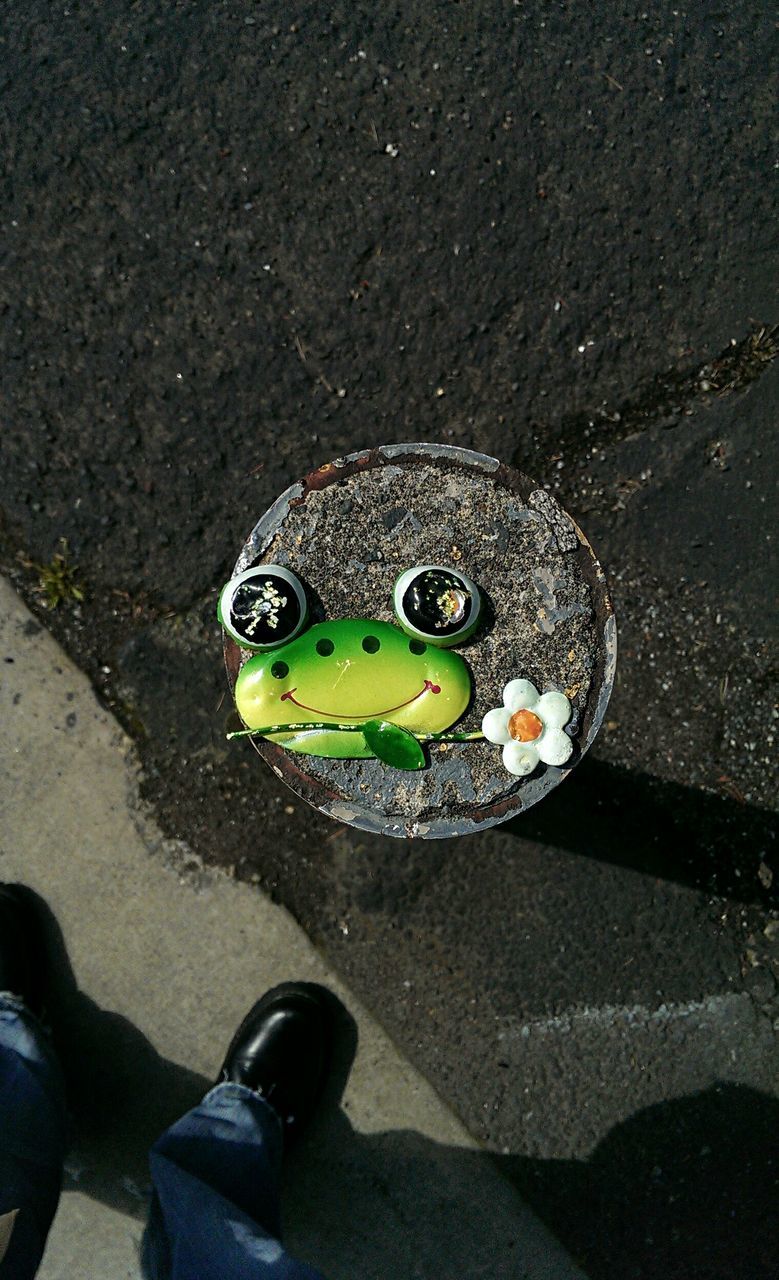 high angle view, animal themes, one animal, animal representation, shoe, close-up, toy, reptile, wildlife, leaf, outdoors, no people, frog, day, street, animals in the wild, elevated view, nature, flooring, pair