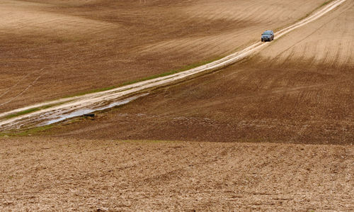 High angle view of agricultural field