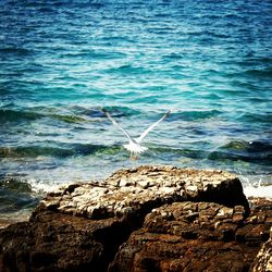 Rocks in sea