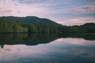 Scenic view of lake by trees against sky