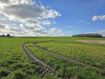 Scenic view of agricultural field against sky