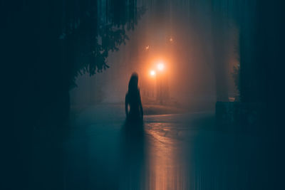 Silhouette person standing on street during foggy weather