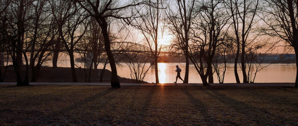 Silhouette bare trees by lake against sky