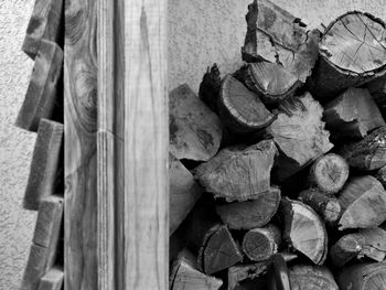 Stack of logs in forest