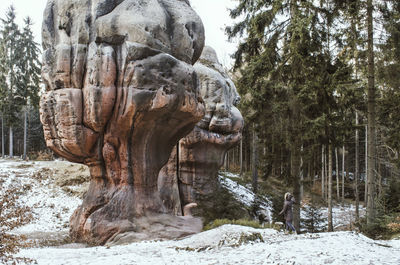 Statue of trees in snow