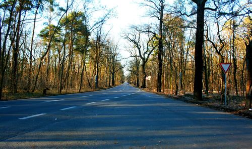 Empty road along trees