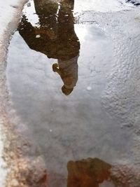 Reflection of rocks in puddle