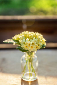 Close-up of flower vase on table