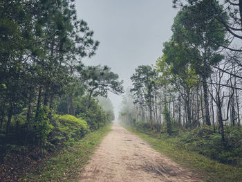 Road amidst trees against sky