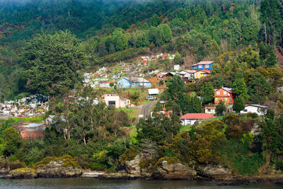 High angle view of trees and buildings