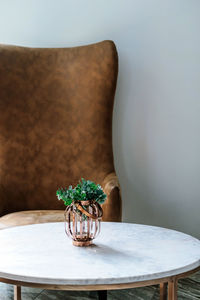 Close-up of potted plant on table