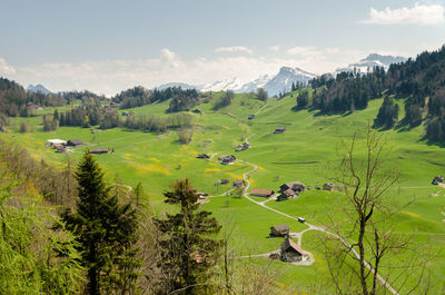 Scenic view of landscape against sky