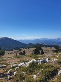 Scenic view of landscape against clear blue sky