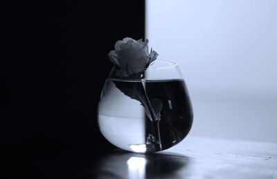 Close-up of white rose on glass vase on table