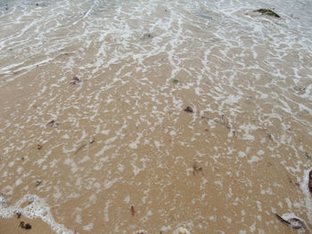 High angle view of beach