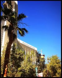 Low angle view of palm trees against clear blue sky