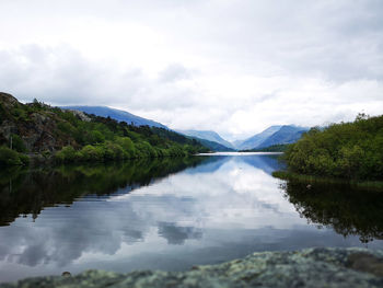 Scenic view of lake by trees against sky