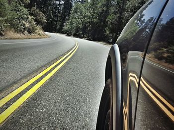 Road by trees