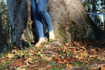 Low section of person on autumn leaves