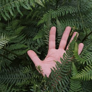 Close-up of human hand amidst plant